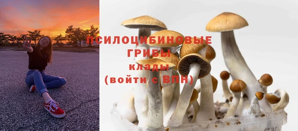 дживик Богданович