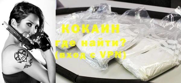 гидра Богородицк