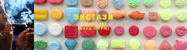 гидра Богородицк