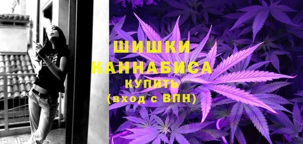 СК Долгопрудный