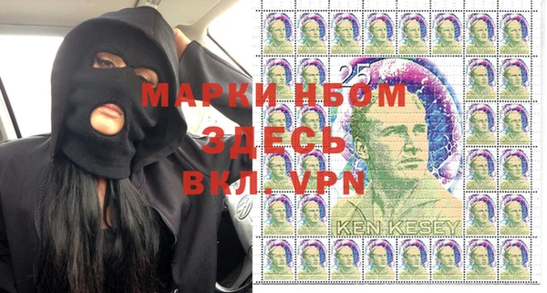 гашик Бородино
