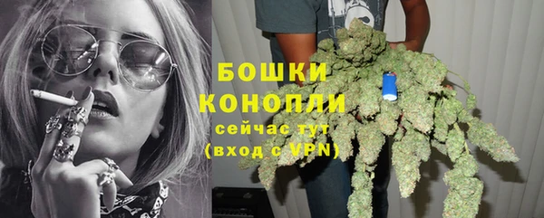 гашик Бородино