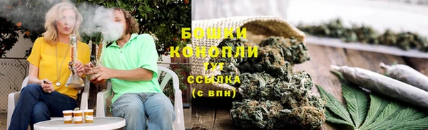 гидра Богородицк