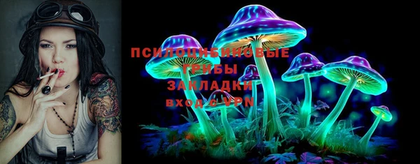 гашик Бородино