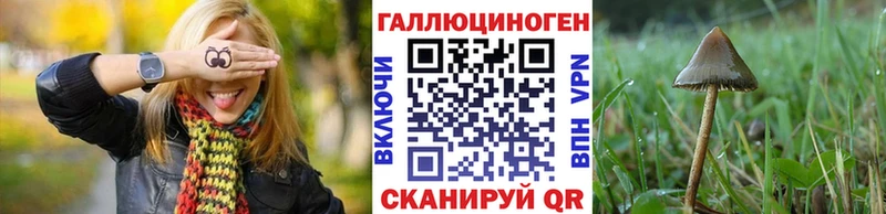 Галлюциногенные грибы мицелий  Бугуруслан 